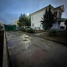 Taze zaman kotej