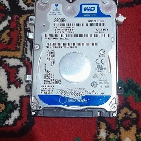 žostkiy disk