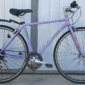 Arginal Made in Japan tigir