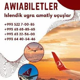 AwiapeteklerAwiapetekler