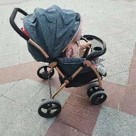 kolyaska