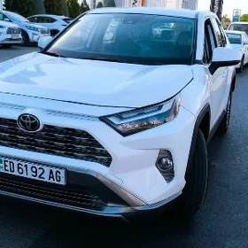 Toyota RAV4 2024