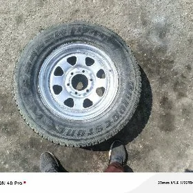 16lyk zapaska 6bolutly