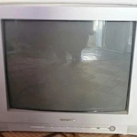 Telewizor