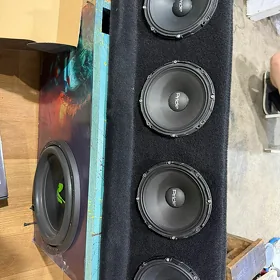 pirde sollo 300