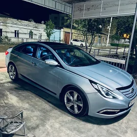 Hyundai Sonata 2012