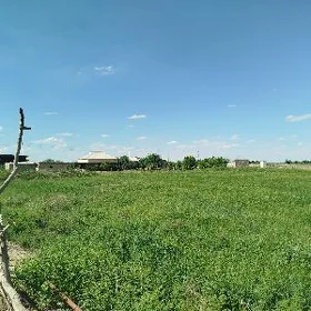 Mellek