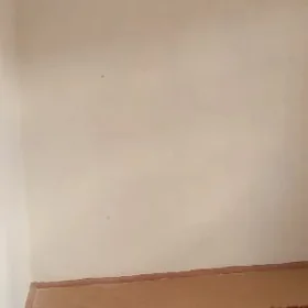 satlyk jaý