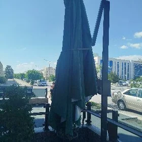 Dasarda goyulyan zont