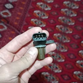katakizatr dacik