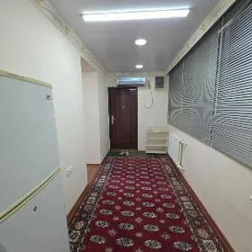 SATLYK JAYLAR