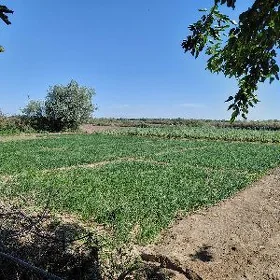 Boş mellek yer