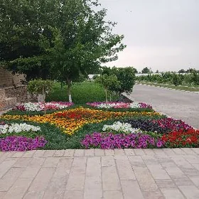 Arenda Buzmeyin gres taze ahal