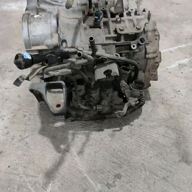 duty camry  karopga