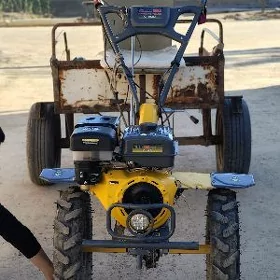 MTZ 80 2026