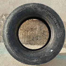 265 70 19.5