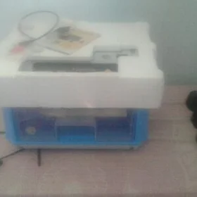 inkubator