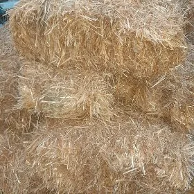 Arasaja saman