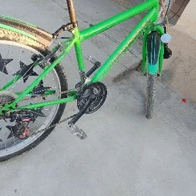 turkmenistan tigir