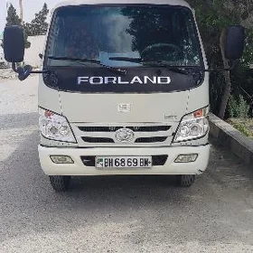 Forland H2 2010