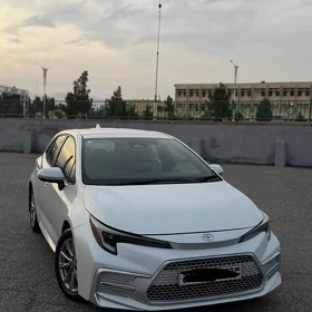 Toyota Corolla 2025