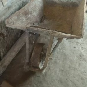 Satlyk taçka haltek ot orýan