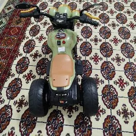 chaga motory