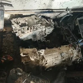 mishipusi pajero