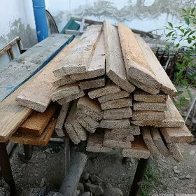 Agaç tazeje