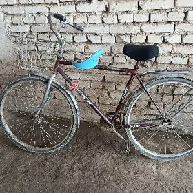 Ural tigir