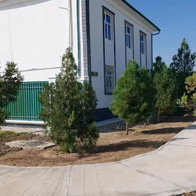 TAZE ZAMAN KATES YERI 8 KOM 5