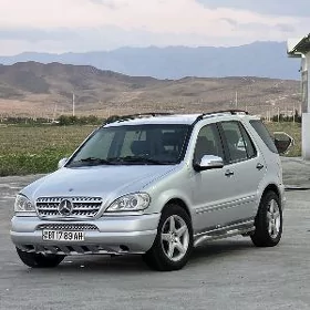 Mercedes-Benz ML500 2002