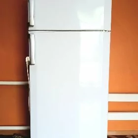holadilnik.Sowadyjy