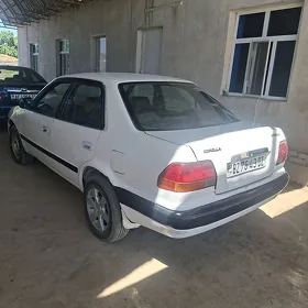 Toyota Corolla 1995