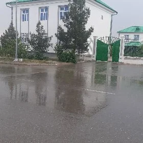 taze zaman