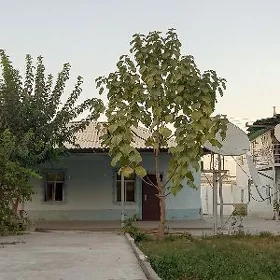 Satlyk jaý