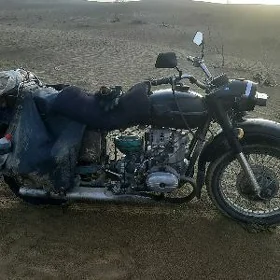 Ural 5557 1981