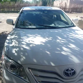 Toyota Camry 2010