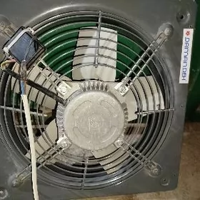 Lopus wintilyator