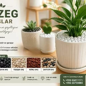 TEBYGY BEZEG DAŞLAR