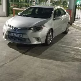 Toyota Corolla 2014