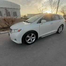 Toyota Venza 2010
