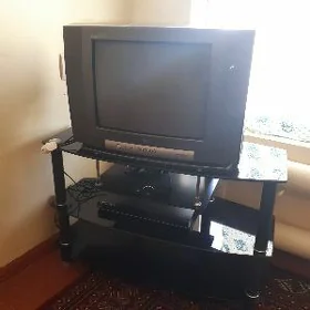 Telewizor