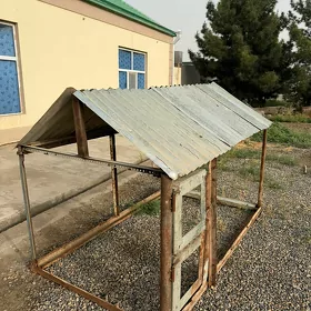 Towuk ketek