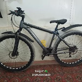 Tigir 29-lyk