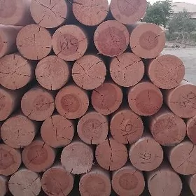 Agaç
