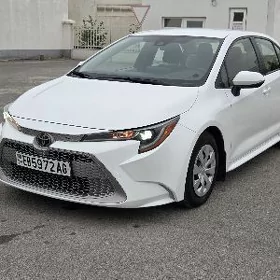 Toyota Corolla 2020