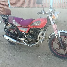 Fekon FK150-8G 2017