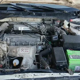 Toyota Corona 1994