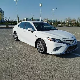 Toyota Camry 2020